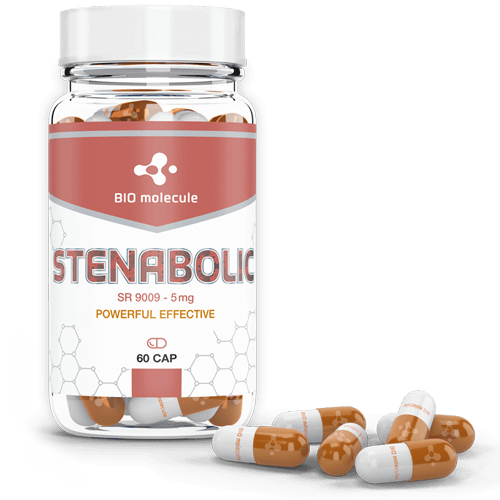 BIO Molecule - Stenabolic (SR 9009)