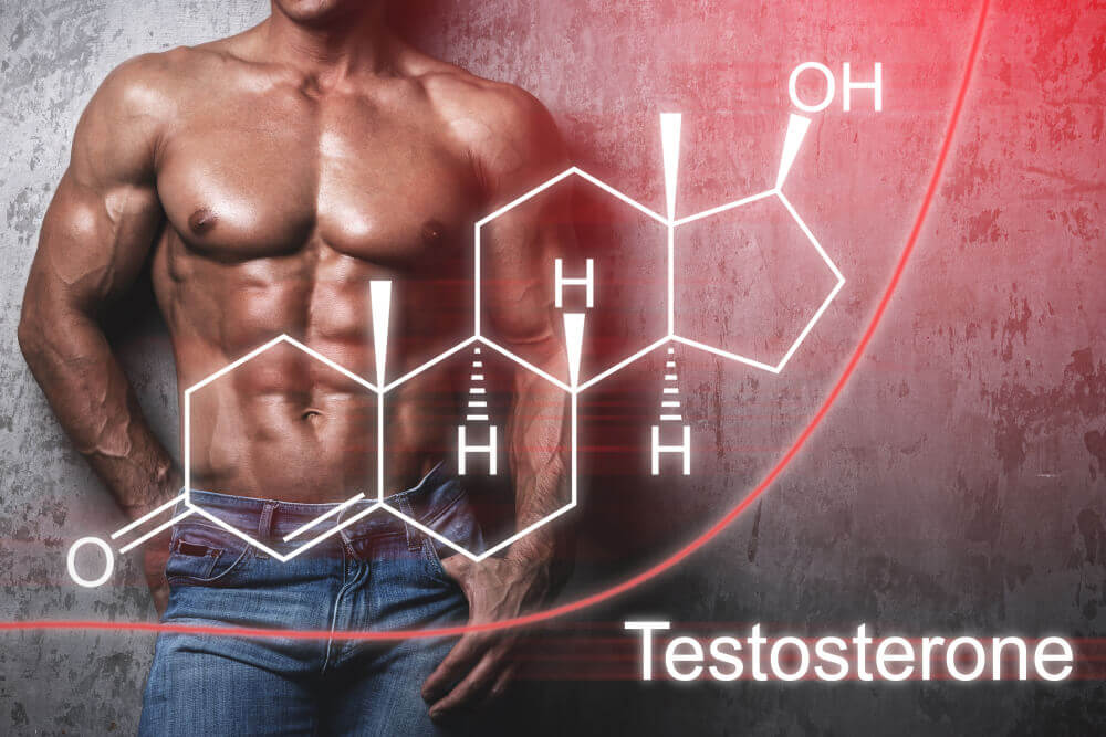 Insuffisance de testostérone - symptômes, causes & augmenter la testostérone